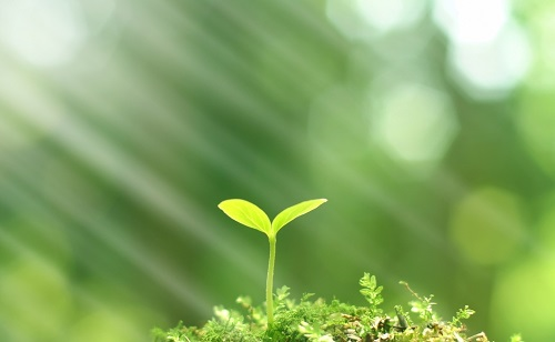 推廣測土配方施肥技術(shù)的有哪些好處？