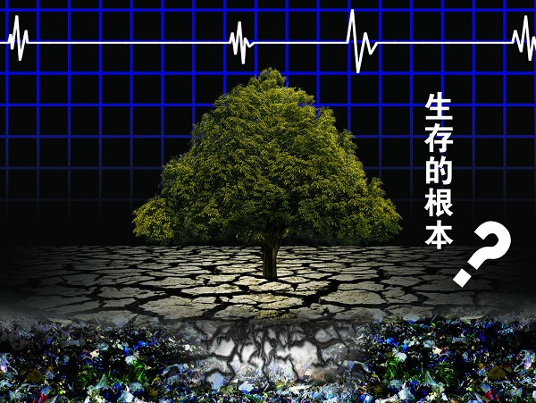 土壤重金屬嚴重超標，土壤修復離不開土壤檢測儀